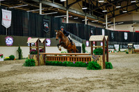 2025 - Haylee - Royal West - Monday October 20th - 01602