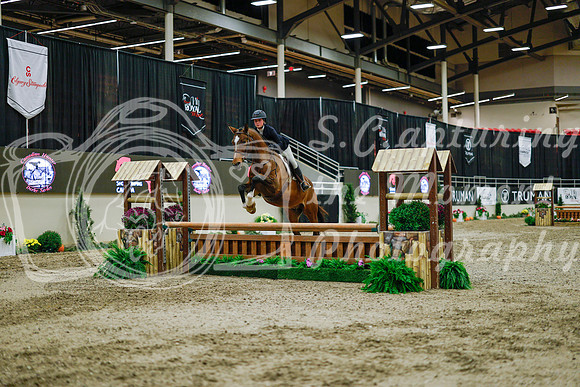 2025 - Haylee - Royal West - Monday October 20th - 01602