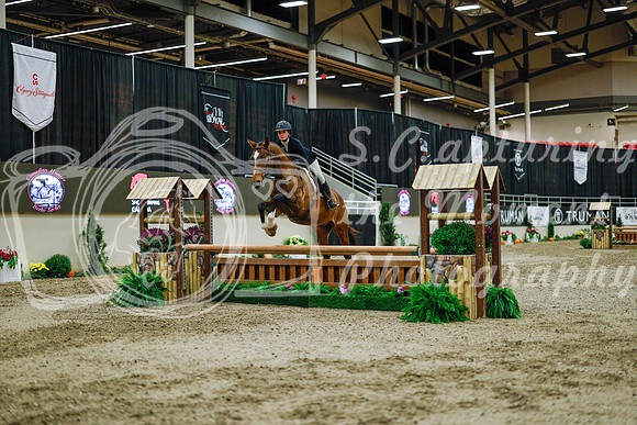 2025 - Haylee - Royal West - Monday October 20th - 01603