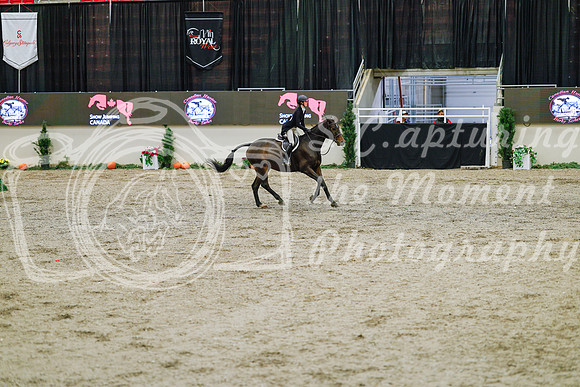 2025 - Haylee - Royal West - Monday October 20th - 04739