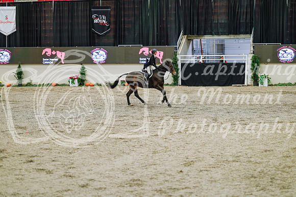 2025 - Haylee - Royal West - Monday October 20th - 04740