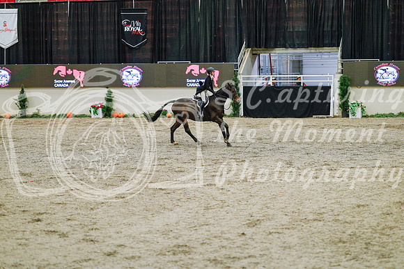 2025 - Haylee - Royal West - Monday October 20th - 04741