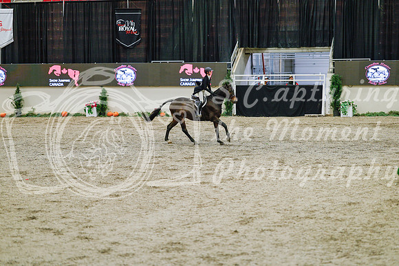2025 - Haylee - Royal West - Monday October 20th - 04742