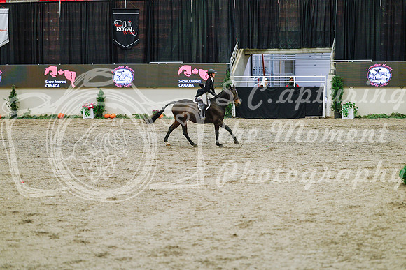 2025 - Haylee - Royal West - Monday October 20th - 04743
