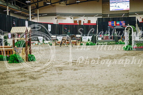 2025 - Haylee - Royal West - Monday October 20th - 01304