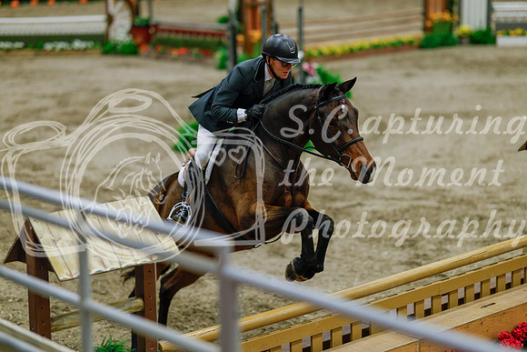 2025 - Haylee - Royal West - Monday October 20th - 06572