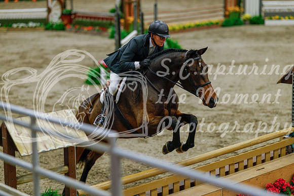 2025 - Haylee - Royal West - Monday October 20th - 06574
