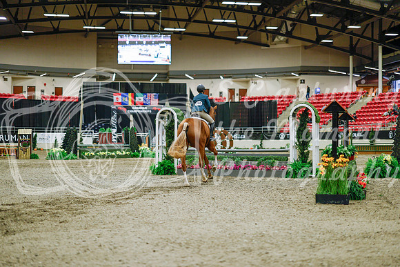 2025 - Haylee - Royal West - Monday October 20th - 01434