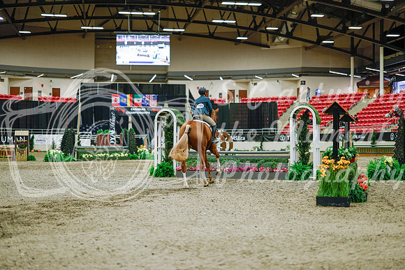 2025 - Haylee - Royal West - Monday October 20th - 01435
