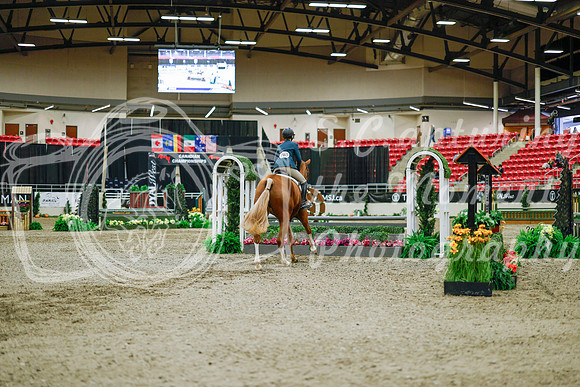 2025 - Haylee - Royal West - Monday October 20th - 01437