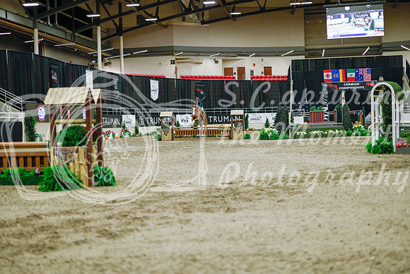 2025 - Haylee - Royal West - Monday October 20th - 01444