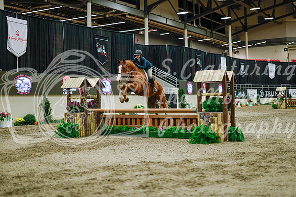 2025 - Haylee - Royal West - Monday October 20th - 01446