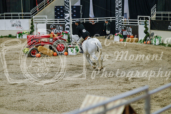 2025 - Haylee - Royal West - Monday October 20th - 05994