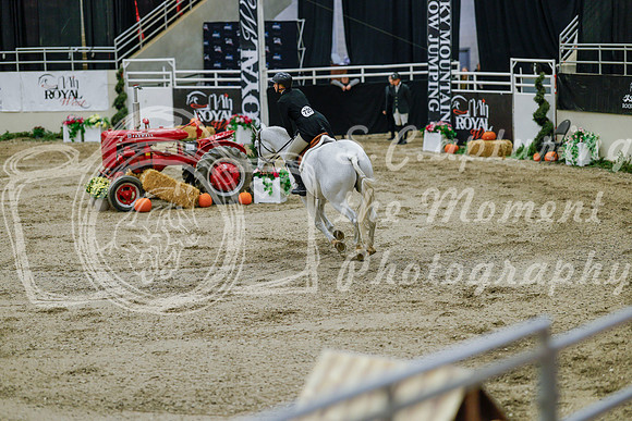 2025 - Haylee - Royal West - Monday October 20th - 05995