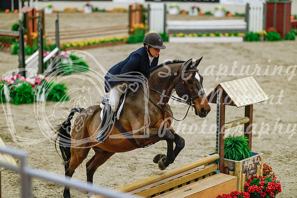 2025 - Haylee - Royal West - Monday October 20th - 04918