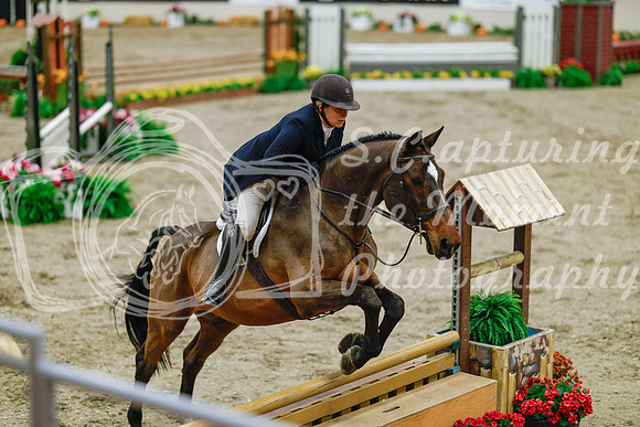 2025 - Haylee - Royal West - Monday October 20th - 04919