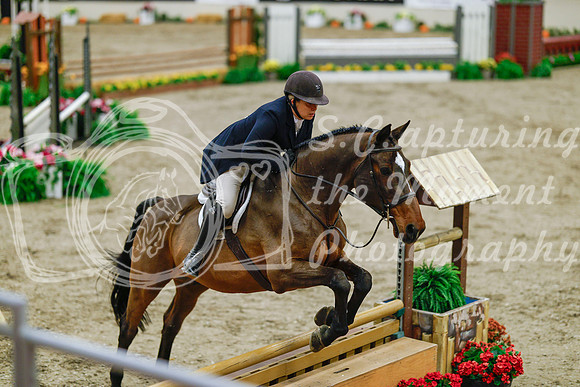 2025 - Haylee - Royal West - Monday October 20th - 04920