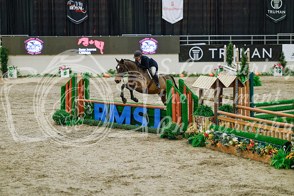 2025 - Haylee - Royal West - Monday October 20th - 04928