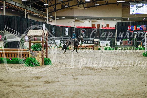 2025 - Haylee - Royal West - Monday October 20th - 00701