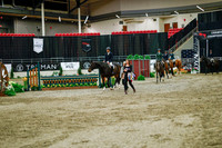 2025 - Haylee - Royal West - Monday October 20th - 01662