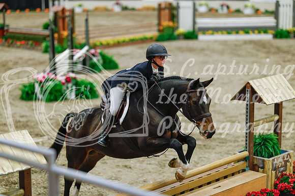 2025 - Haylee - Royal West - Monday October 20th - 05563