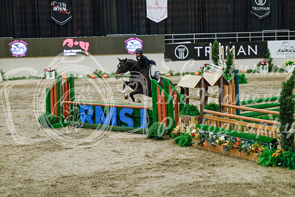 2025 - Haylee - Royal West - Monday October 20th - 05564