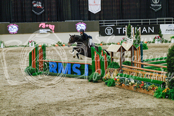 2025 - Haylee - Royal West - Monday October 20th - 05565