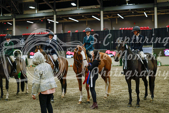 2025 - Haylee - Royal West - Monday October 20th - 01725