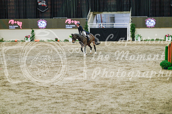 2025 - Haylee - Royal West - Monday October 20th - 05572