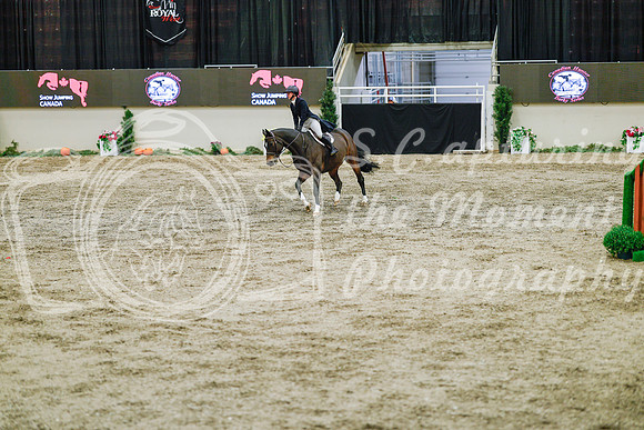 2025 - Haylee - Royal West - Monday October 20th - 05574