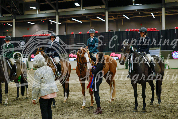 2025 - Haylee - Royal West - Monday October 20th - 01727