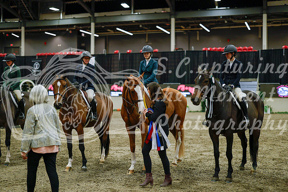2025 - Haylee - Royal West - Monday October 20th - 01728