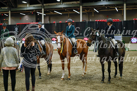 2025 - Haylee - Royal West - Monday October 20th - 01730