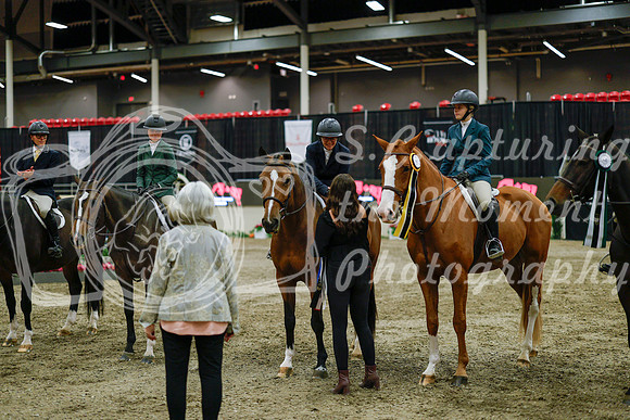 2025 - Haylee - Royal West - Monday October 20th - 01733