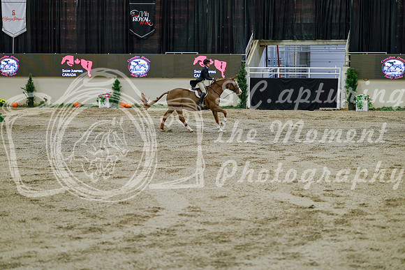 2025 - Haylee - Royal West - Monday October 20th - 06067