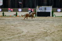 2025 - Haylee - Royal West - Monday October 20th - 06069