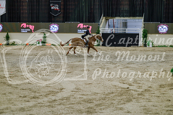 2025 - Haylee - Royal West - Monday October 20th - 06070