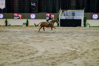 2025 - Haylee - Royal West - Monday October 20th - 06068