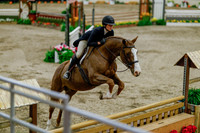 2025 - Haylee - Royal West - Monday October 20th - 06079