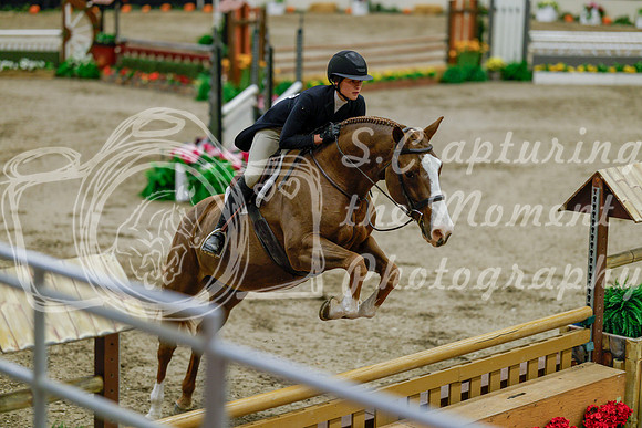 2025 - Haylee - Royal West - Monday October 20th - 06079