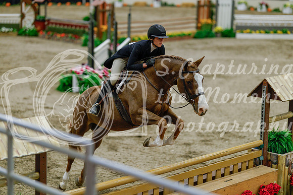 2025 - Haylee - Royal West - Monday October 20th - 06080