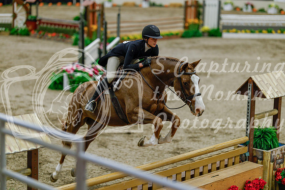 2025 - Haylee - Royal West - Monday October 20th - 06081