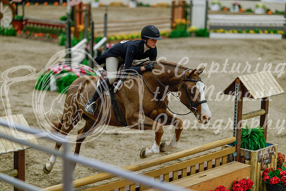 2025 - Haylee - Royal West - Monday October 20th - 06083