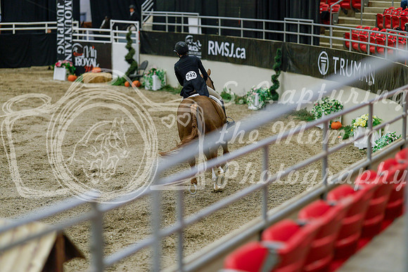 2025 - Haylee - Royal West - Monday October 20th - 06084