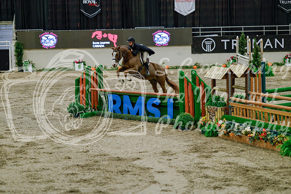 2025 - Haylee - Royal West - Monday October 20th - 06091