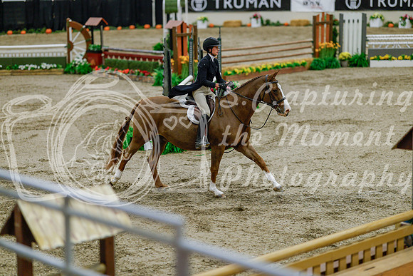 2025 - Haylee - Royal West - Monday October 20th - 06095