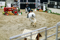 2025 - Haylee - Royal West - Monday October 20th - 05455