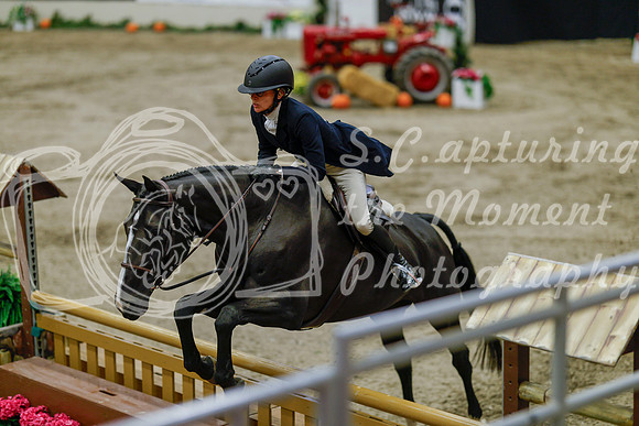 2025 - Haylee - Royal West - Monday October 20th - 06042