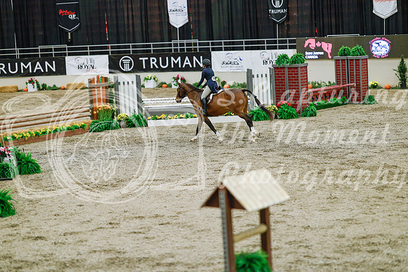 2025 - Haylee - Royal West - Monday October 20th - 05202