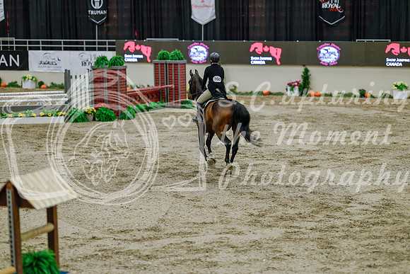 2025 - Haylee - Royal West - Monday October 20th - 06339